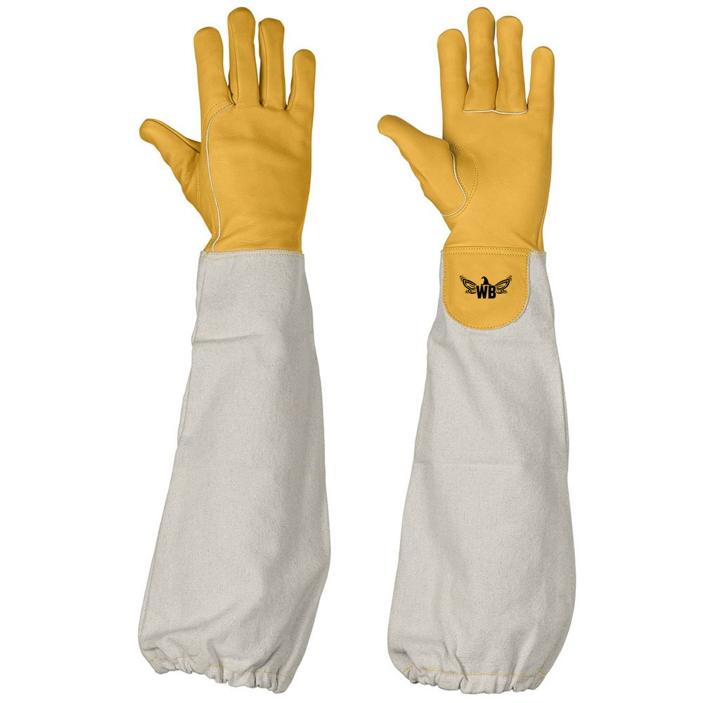 Cotton Gloves